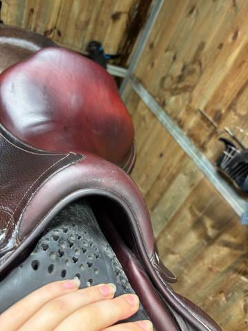 Sella mista CWD  17.5" - 2019