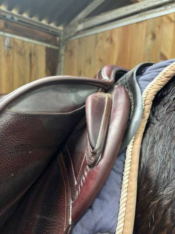 Sella mista CWD  17.5" - 2019