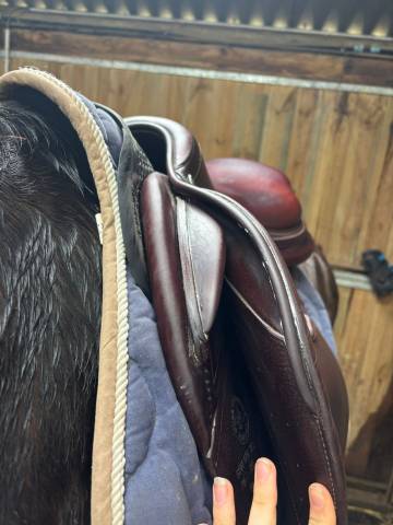 Sella mista CWD  17.5" - 2019