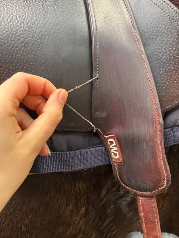 Sella mista CWD  17.5" - 2019