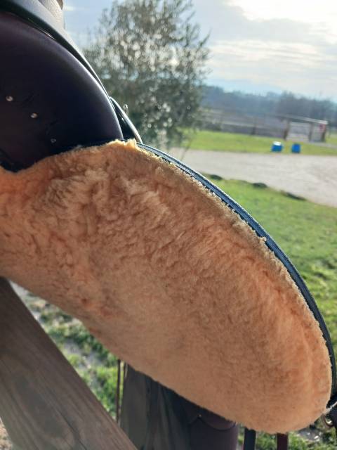 Sella western  Wade 16" - 2025