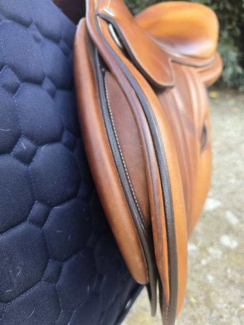 Sella da salto ostacoli Butet  17" - 2017