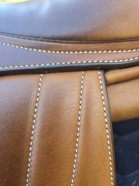 Sella da salto ostacoli Butet  17" - 2017