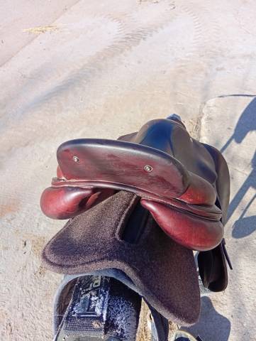 Sella da salto ostacoli CWD  17.5" - 2014