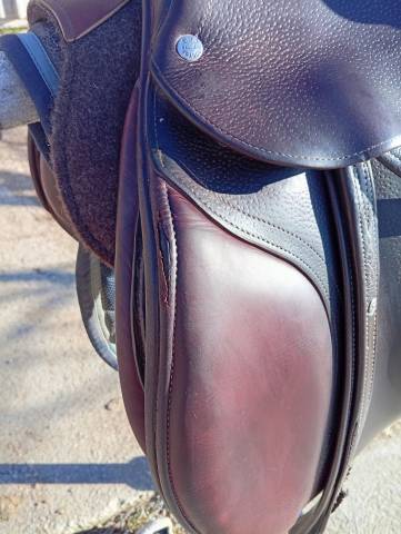 Sella da salto ostacoli CWD  17.5" - 2014