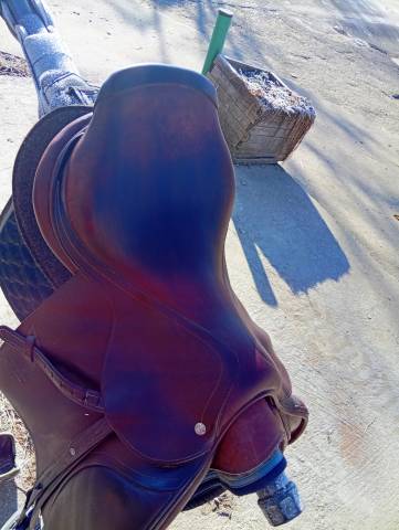 Sella da salto ostacoli CWD  17.5" - 2014