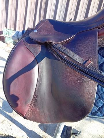 Sella da salto ostacoli CWD  17.5" - 2014