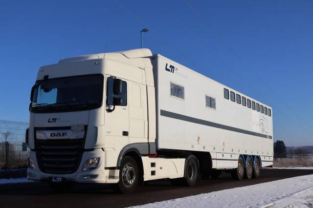 Camion per Cavalli Daf SEMI-REMORQUE 10P-APPARTEMENT 4P 2017 Occasione