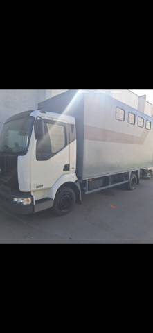 Camion per Cavalli Renault Midlum  2004 Occasione
