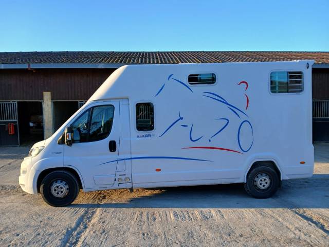 Van per Cavalli Fiat  Fiat Ducato 2019 Occasione