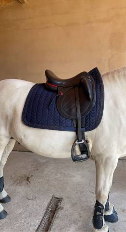 Sella da dressage CWD  17.5" - 2020