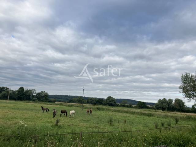 Propriet&agrave; equestre In vendita Haute-Sa&ocirc;ne