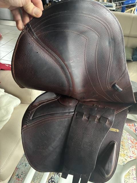 Sella da salto ostacoli CWD  17.5" - 2024