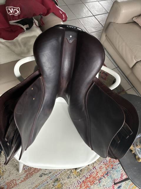 Sella da salto ostacoli CWD  17.5" - 2024