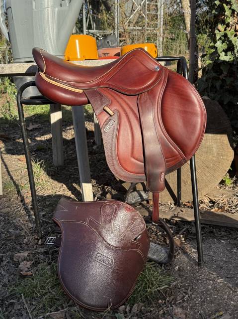 Sella da salto ostacoli CWD  17" - 2023