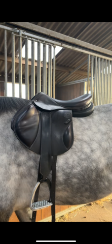 Sella da salto ostacoli Forestier  17.5" - 2023