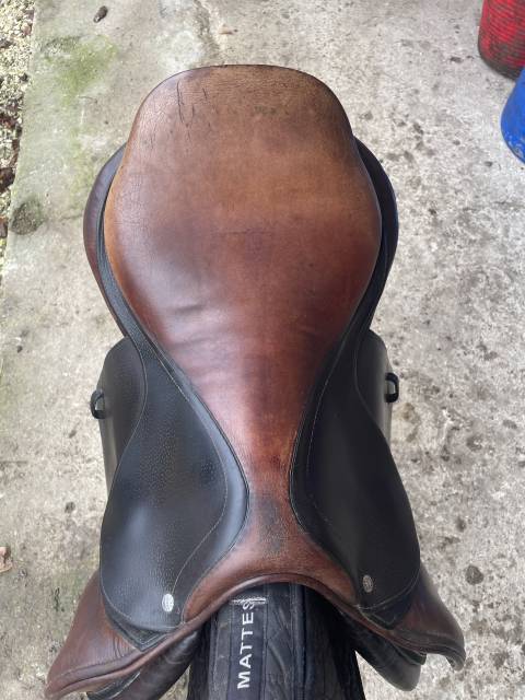 Sella da salto ostacoli CWD  17.5" - 2014