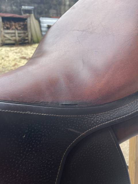 Sella da salto ostacoli CWD  17.5" - 2014