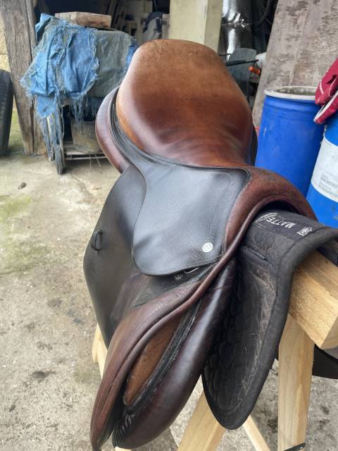 Sella da salto ostacoli CWD  17.5" - 2014