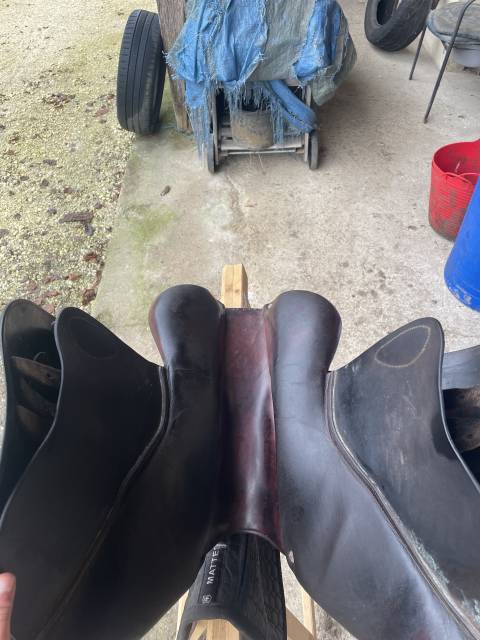 Sella da salto ostacoli CWD  17.5" - 2014