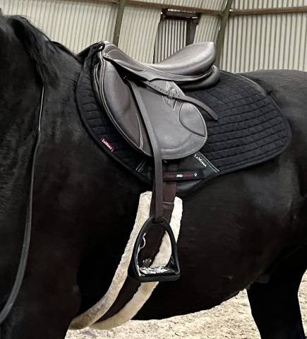 Sella da salto ostacoli Stubben  17.5" - 2022