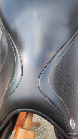 Sella da salto ostacoli CWD  17" - 2018