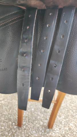 Sella da salto ostacoli CWD  17" - 2018