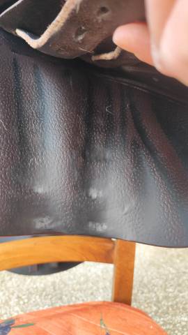 Sella da salto ostacoli CWD  17" - 2018