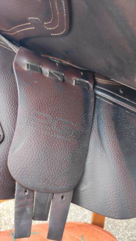 Sella da salto ostacoli CWD  17" - 2018