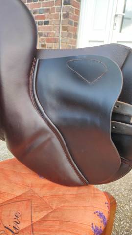 Sella da salto ostacoli CWD  17" - 2018