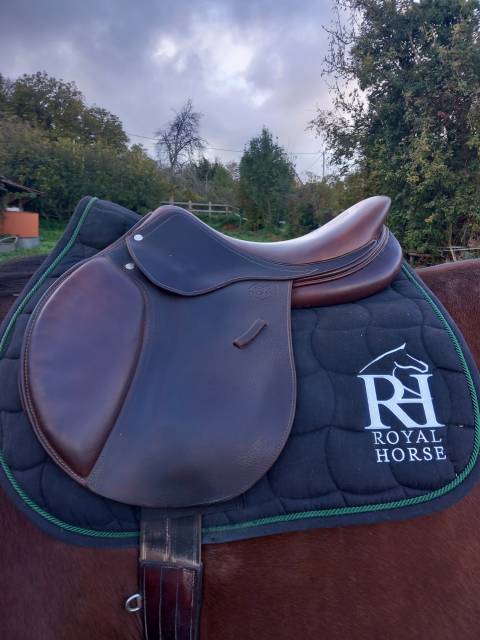 Sella mista Eric Thomas  17.5" - 2022