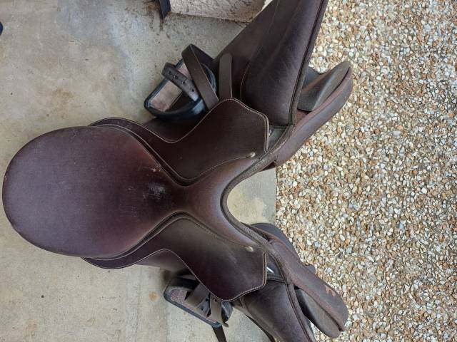 Sella mista Wintec  17.5" - 2019