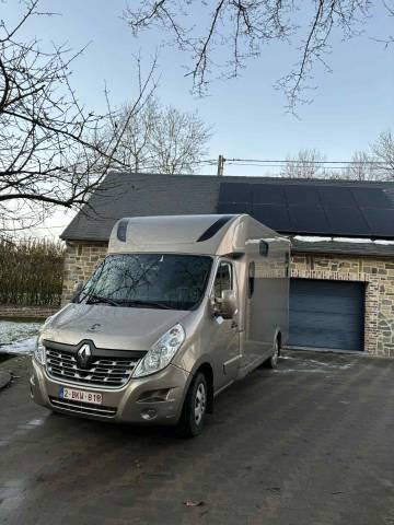 Van per Cavalli Theault THEAULT 2018 Occasione