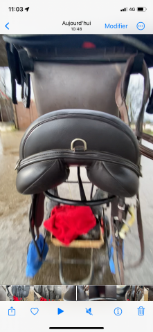 Sella mista Thorowgood   17" - 2022