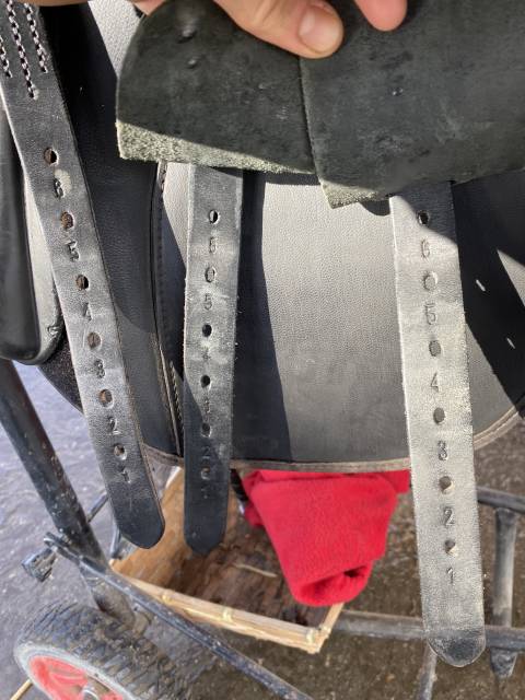 Sella mista Thorowgood   17" - 2022