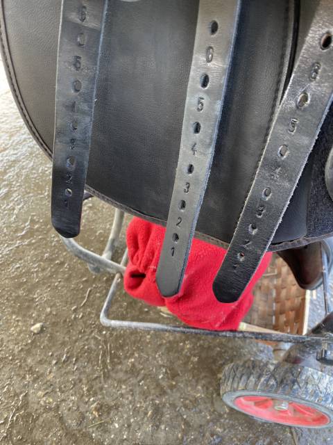 Sella mista Thorowgood   17" - 2022