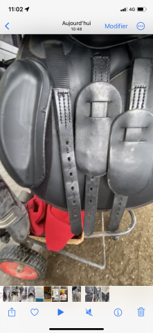 Sella mista Thorowgood   17" - 2022