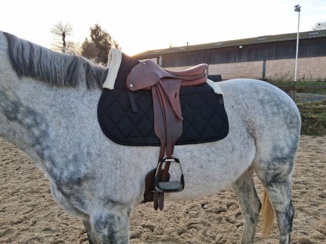 Sella da salto ostacoli Butet  17.5" - 2023