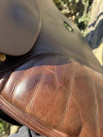 Sella mista Henri de Rivel  17.5" - 2016