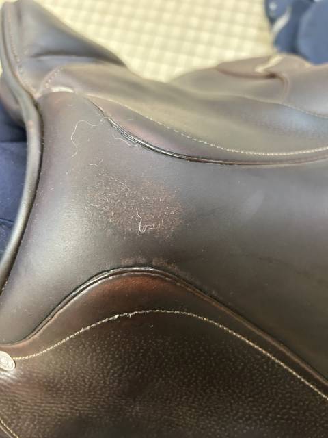 Sella da salto ostacoli Antar&egrave;s  17" - 2019