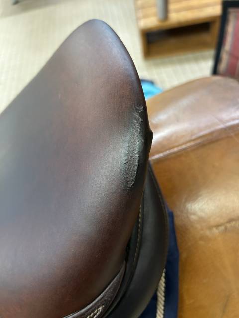 Sella da salto ostacoli Antar&egrave;s  17" - 2019