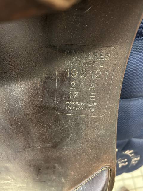 Sella da salto ostacoli Antar&egrave;s  17" - 2019