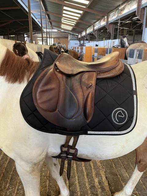 Sella mista Devoucoux Chiberta 17" - 2012