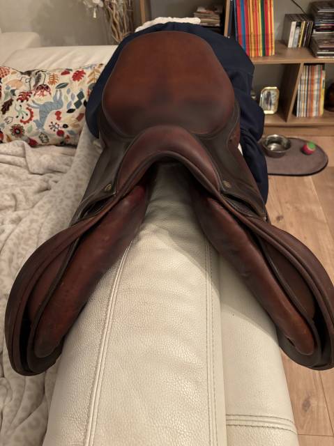 Sella da salto ostacoli Delgrange  17.5" - 2019