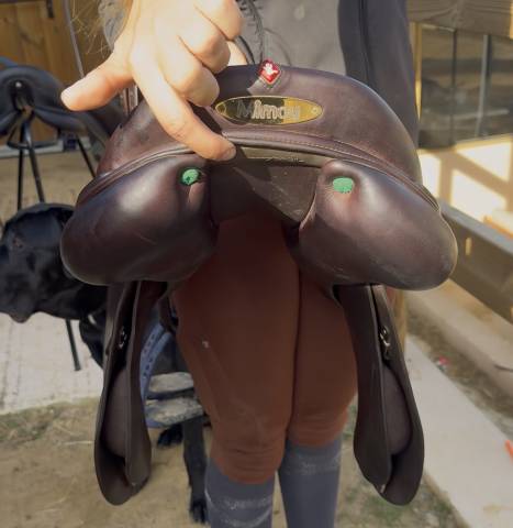 Sella da salto ostacoli Equipe  17.5" - 2023