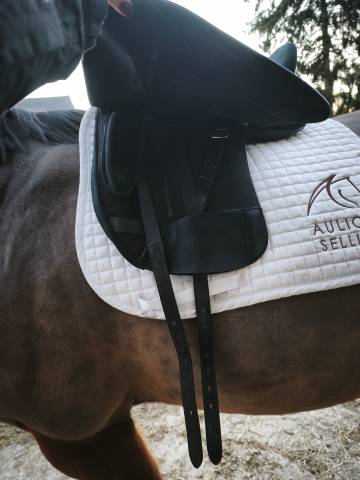 Sella da dressage Wintec  17.5" - 2024