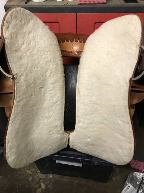 Sella western   16" - 2017