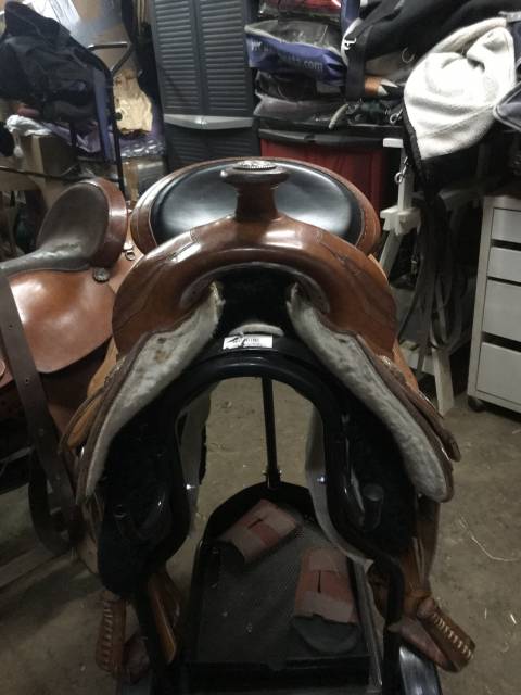 Sella western   16" - 2017