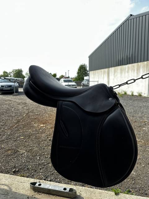 Sella da salto ostacoli Arion saut  17.5" - 2024