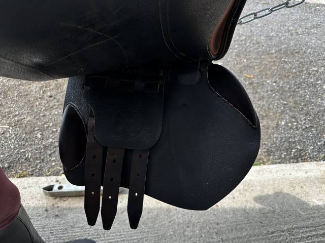 Sella da salto ostacoli Arion saut  17.5" - 2024